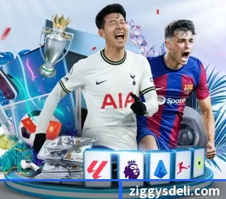 c7网页登录平台的故事